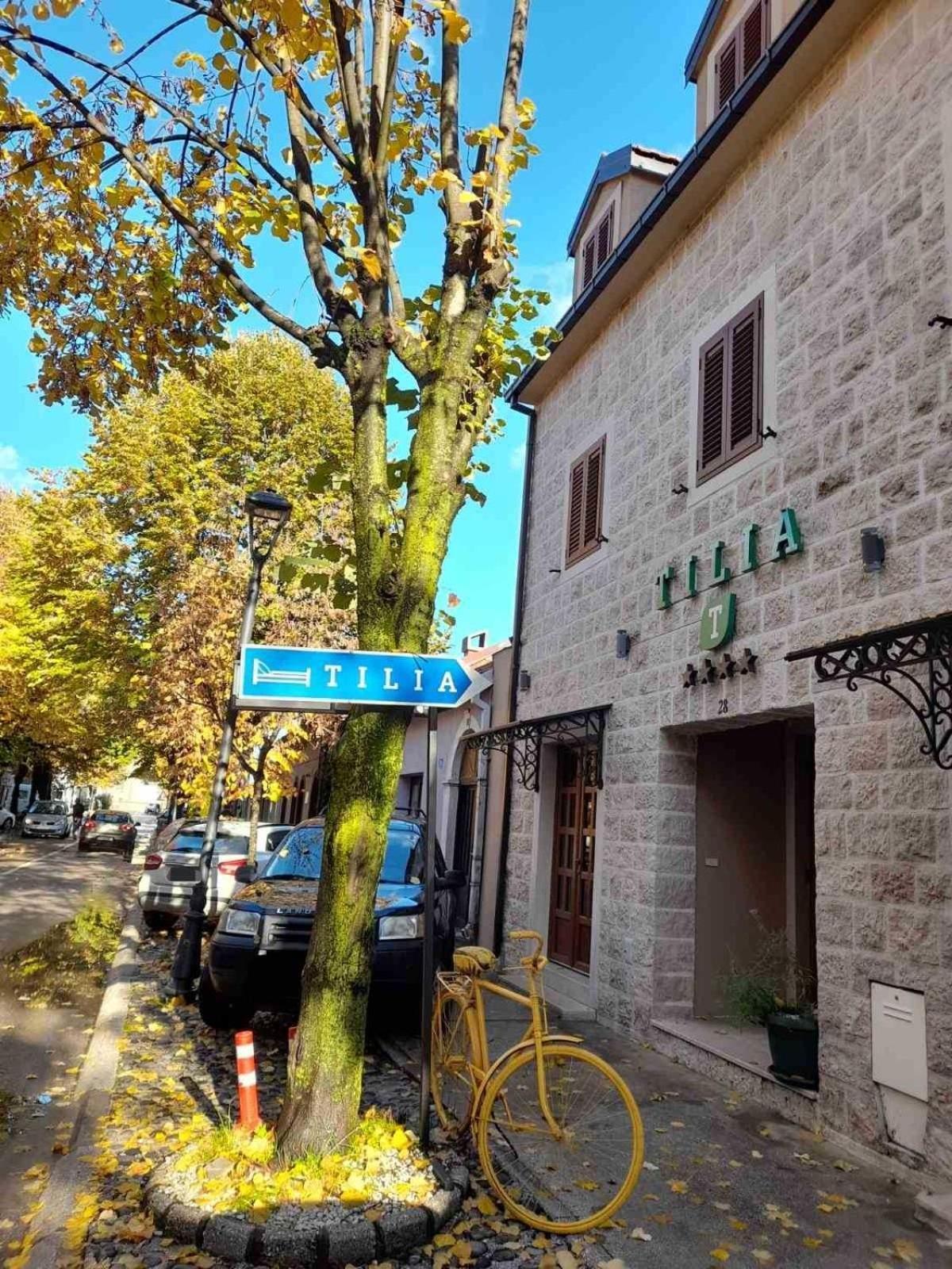 Tilia Ξενοδοχείο Τσέτινιε Εξωτερικό φωτογραφία
